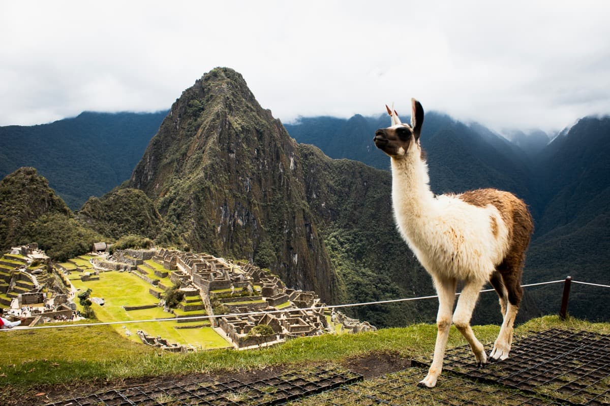 Invertir en bienes raices en Peru: Crecimiento sostenido en el corazon de Sudamerica