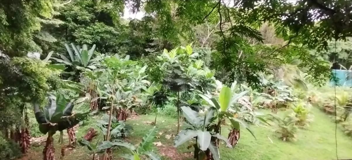 Casa con ranchos y amplias áreas verdes.