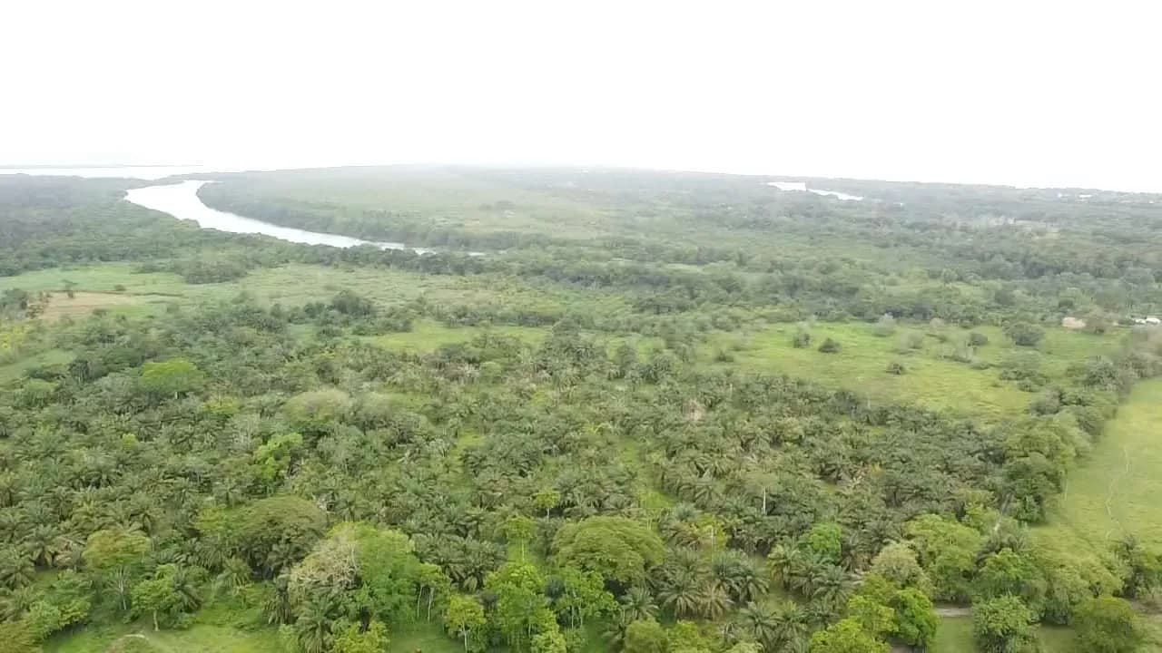🌍Se Vende Propiedad frente al Pavimento en la entrada de Tela CA 13 🏝 Exelente para zona Residencial O para Proyect