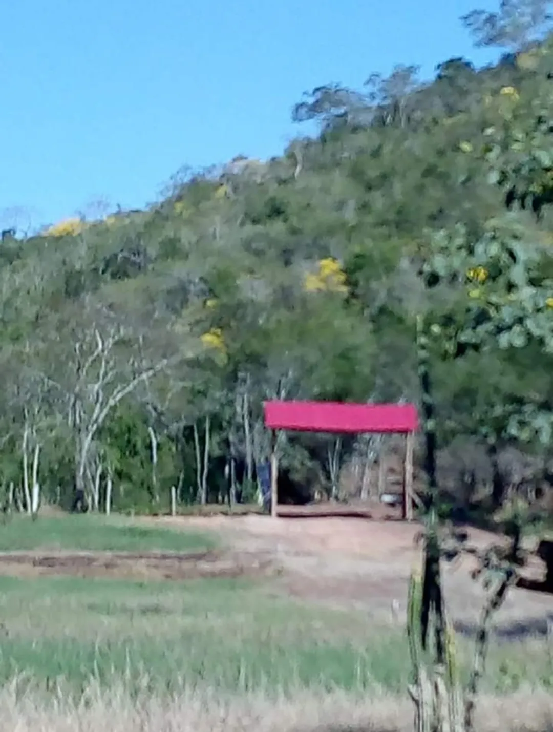 vendo terreno de 4 hctrs, con vista panoramica al rio huallaga, zona exclusiva con 4 entradas.